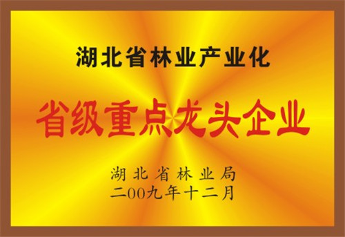 *企業(yè)