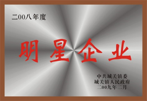 明星企業(yè)